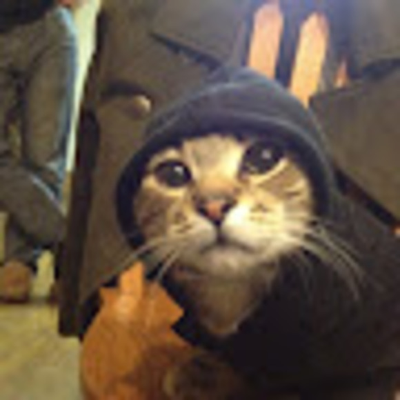 Meet your Posher, Joseph - Picture 1 of 1